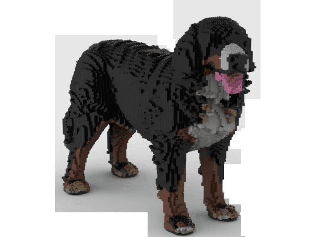 犬